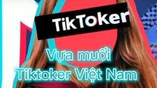 Vựa muối tiktoker việt nam