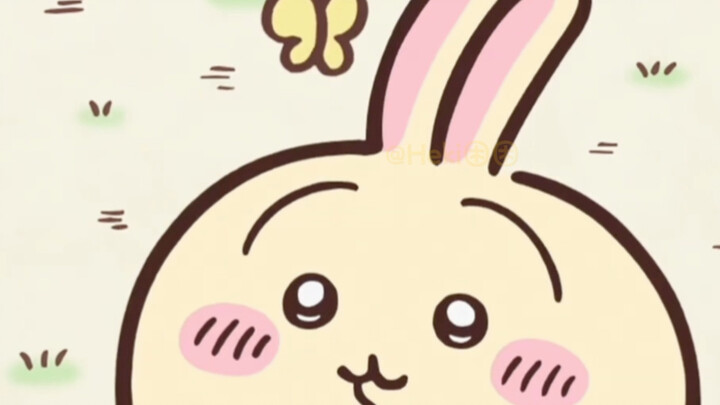 Usagi: Cute Bunny Playing with Butterflies