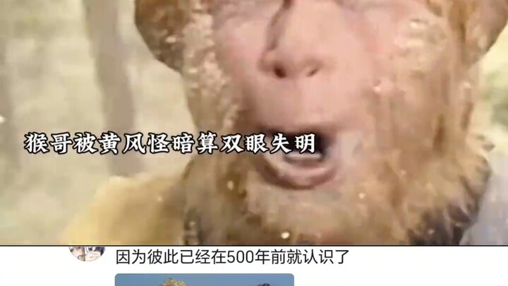 When Monkey King was the Stable Keeper, only Pigsy was his friend!