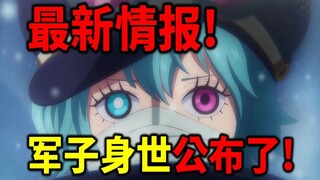 【海贼王】官方正式情报！军子的家族被公布了！神之谷的幸存者！