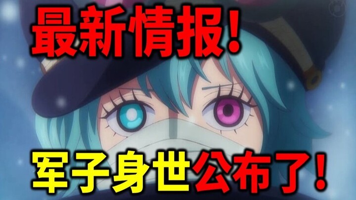 【海贼王】官方正式情报！军子的家族被公布了！神之谷的幸存者！