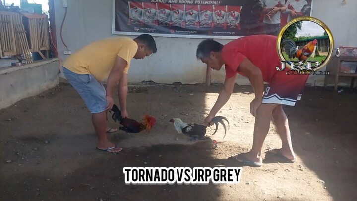 Early Birds Tornado (MT Banahaw) vs JRP Grey