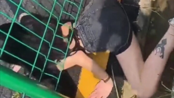 Kehilangan muka di media sosial ini datang begitu tiba-tiba②…