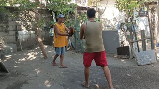 Lemon vs Bulik Bitawan