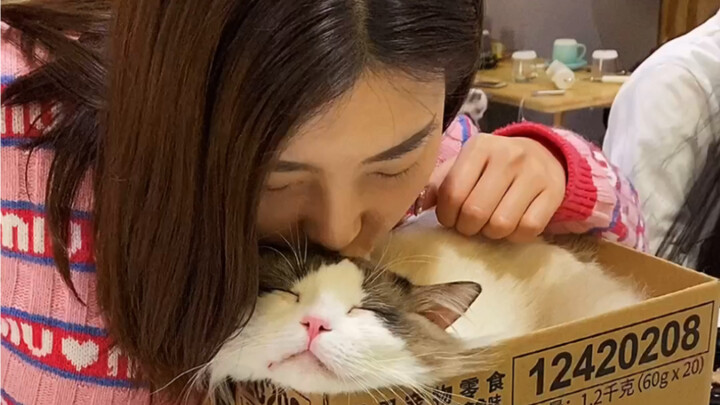 Just to make the cat happy