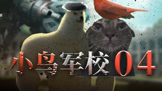 《小鸟军校》(4）——入学小测试