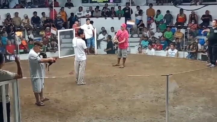 J.A.T GREY 1ST FIGHT WIN