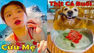 Thú Cưng TV | Gâu Đần và Bà Mẹ #52 | Chó Golden Gâu Đần thông minh vui nhộn | Pets cute smart dog