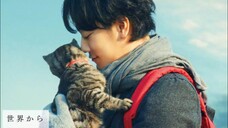 If Cats Disappeared from the World | FULL MOVIE | ENG SUB