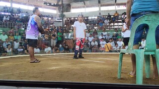 panalo na Natalo pa mahiwaga talaga ang sabong