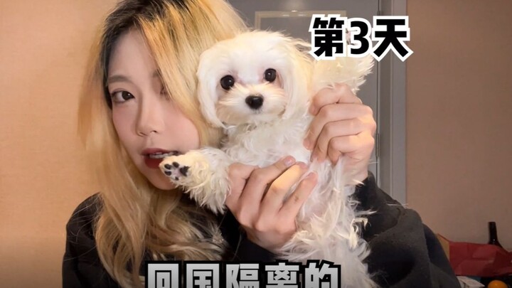 Day 3 of GL! Let's play with a magic pot, hahahaha hahahahahahahaha