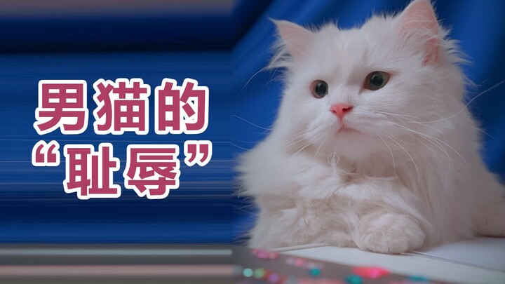 Kita tidak boleh lagi menggunakan gender sebagai batasan, jika tidak kita akan selamanya hanya menja