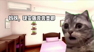 [Cat meme] นี่เป็นครั้งแรกของฉันที่ได้ช่วยคนคำนวณไพ่ยิปซี แต่ไม่คิดว่าจะเจอเรื่องน่าตกใจ! - -