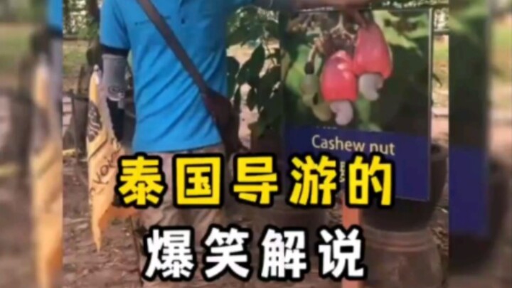 A roundup of hilarious commentary by Thai tour guides! #ThaiTourGuide #FunnyVideos #LaughEveryTimeYo