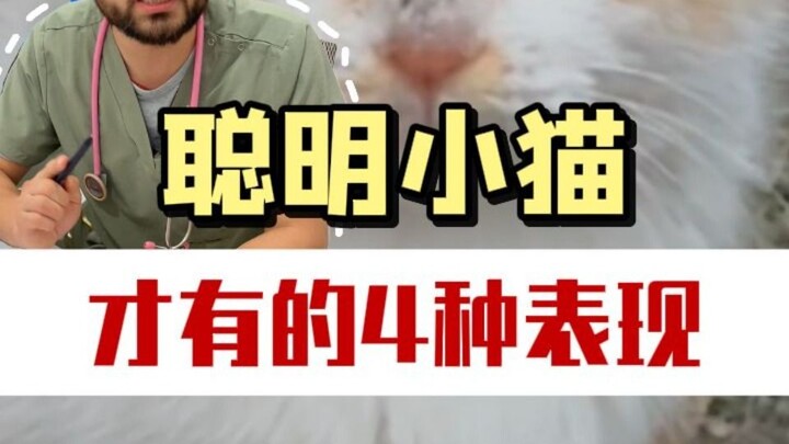 If your cat shows any of these four behaviors, it’s a sign that it’s really smart!