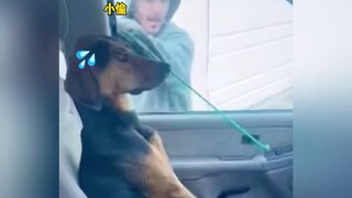 狗哥：别努力了，我们不可能了