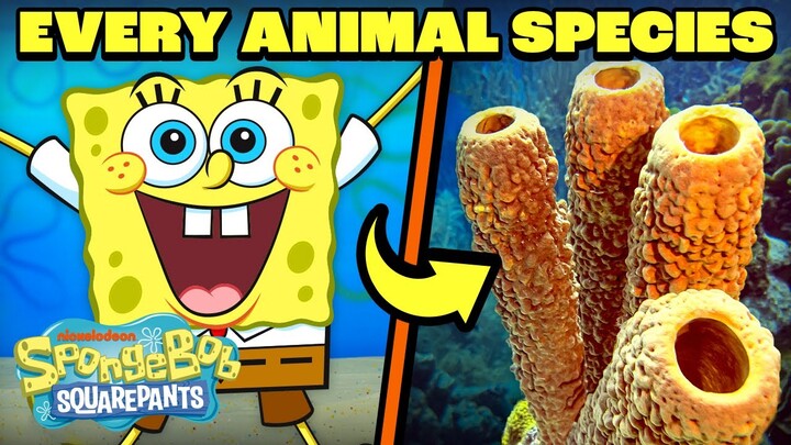 Every Animal in Bikini Bottom! 🐌 | 30 Minute Compilation | SpongeBob