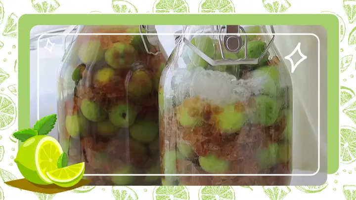 【Cooking】Plum Wine and Jam Making