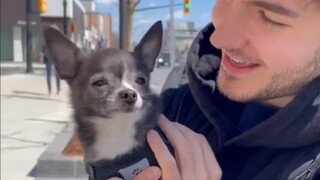 Kehadiran beberapa hal kecil memang untuk menyembuhkanmu