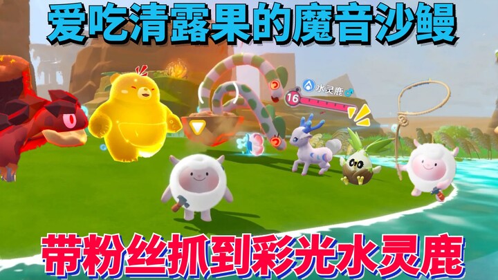 Đại hội Trứng Rán: Abby Thần Kỳ dẫn fan bắt được Hươu Nước Sắc Màu! Lươn Cát Âm Ma thích ăn Quả Sươn