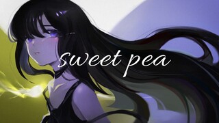 [Bài hát gốc] Sweet Pea/ Sweet Pea [Ngày lễ tình nhân]