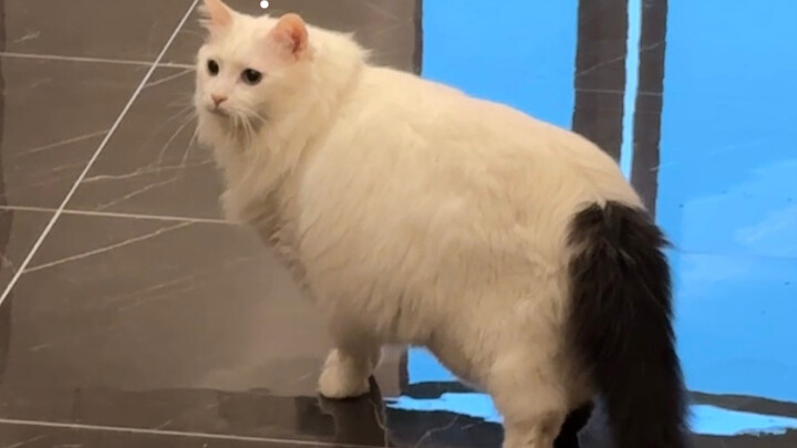 ว่าด้วยอำนาจข่มขู่ของประโยค “พวกคุณเรียนอยู่ห้องไหน?”