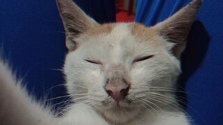 Cute nang posa