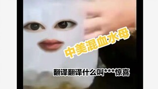 Ubur-ubur Chinglish, diserang oleh orang luar yang tercela