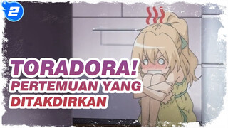 [Toradora!] Pertemuan Yang Ditakdirkan, Sejak Saat Itu Kami Saling Mencintai Selamanya_2