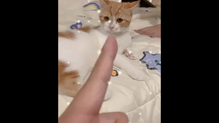 น้อนนน่าร๊ากก