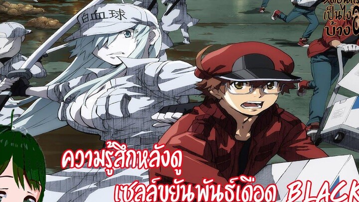 ความรู้สึกหลังดู เซลล์ขยันพันธ์เดือด BLACKHataraku Saibou Black (3ตอนแรกเป็นไงบ้างฮะ!)