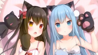 Hãy chơi trò chơi ngón tay với Neko Shizuku~