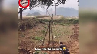 làm việc thông minh #funny