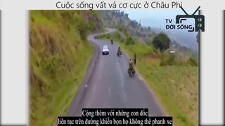 cuộc sống vất vả cơ cực ở châu phi _phần 1