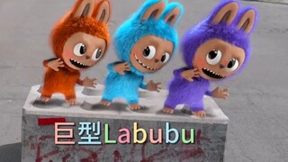 أمي لابو تأتي للانتقام من البشر