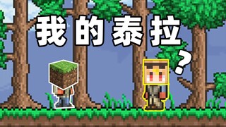 When you play Terraria in Minecraft!!?