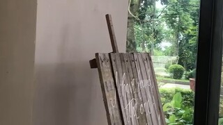 向下生根，向上开花，不负生活，不负自己。新的一天！早安！