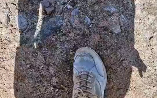 At my current pace, will I make it to the school cafeteria in time for lunch?