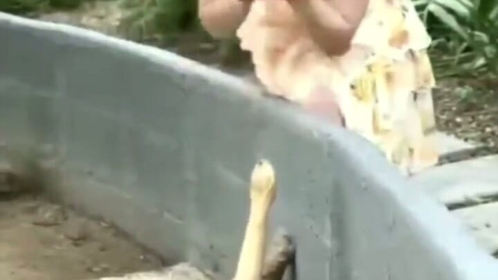 Pengolahan bahan di bengkel kecil memang serba dahsyat 231