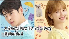 A Good Day To Be A Dog (2024) | Episode 1 | EngSub
