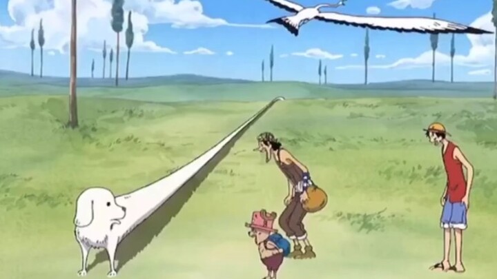 Luffy mengajarimu melatih semua jenis anjing