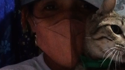 my cat tiger gone so long