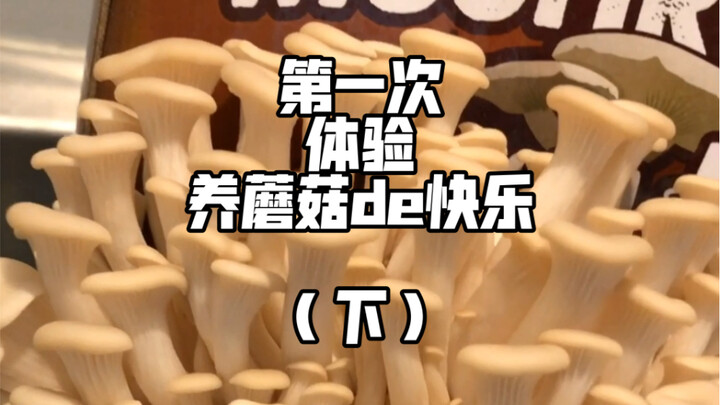 Don't open it while eating, or you'll regret it...