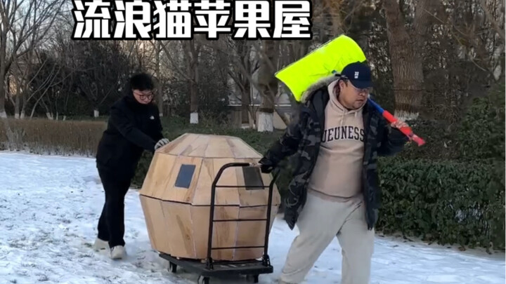 我们给流浪猫们做了个坚固的苹果猫窝，希望它们能平平安安度过这个冬天。