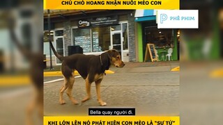 "Đường về nhà của cún con"Phần cuối