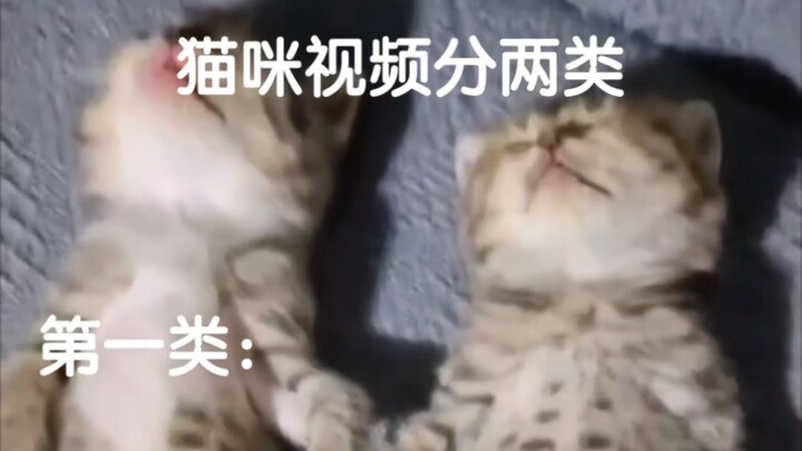 There are two types of cat videos.
