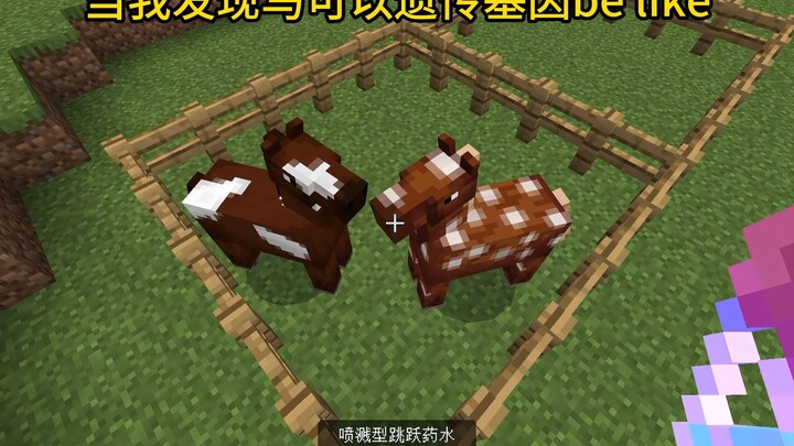 我的世界：当我发现马可以遗传基因be like