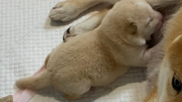 She’s basically using all her might to nurse.