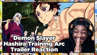 ALL THE HASHIRA ARE HERE NOW!!! Demon Slayer Hashira Training Arc Trailer Reaction + Breakdown