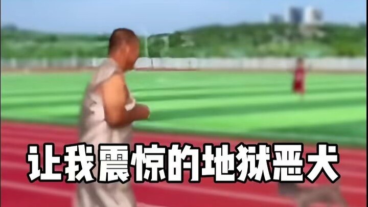 Kakek preman sekolah Video lucu